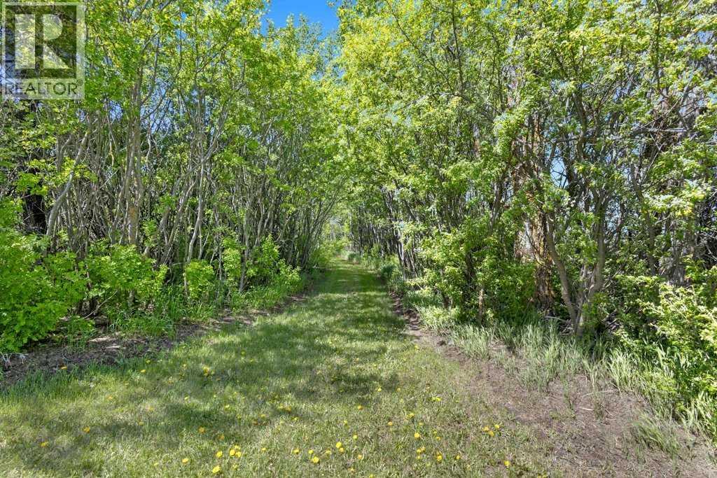 430044 Highway 20, Rural Ponoka County, Alberta  T0C 2J0 - Photo 43 - A2295722