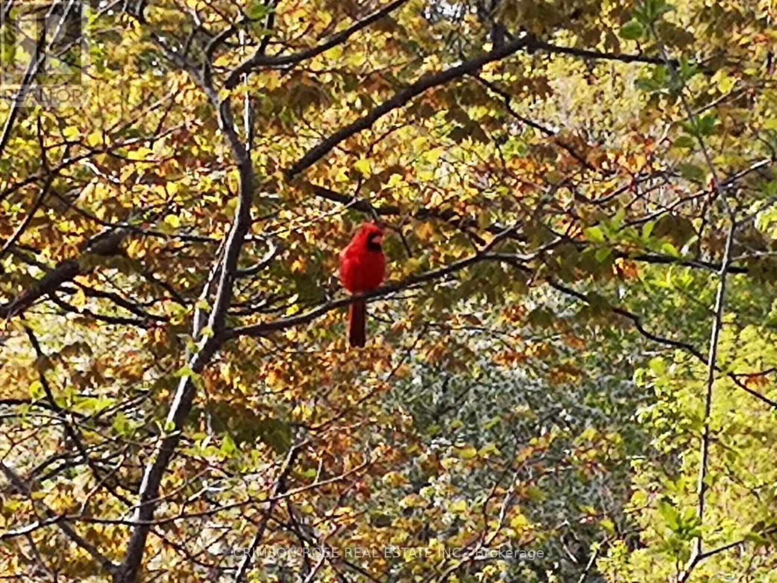 2355 Woodridge Way, Oakville, Ontario  L6H 6S3 - Photo 40 - W12825682