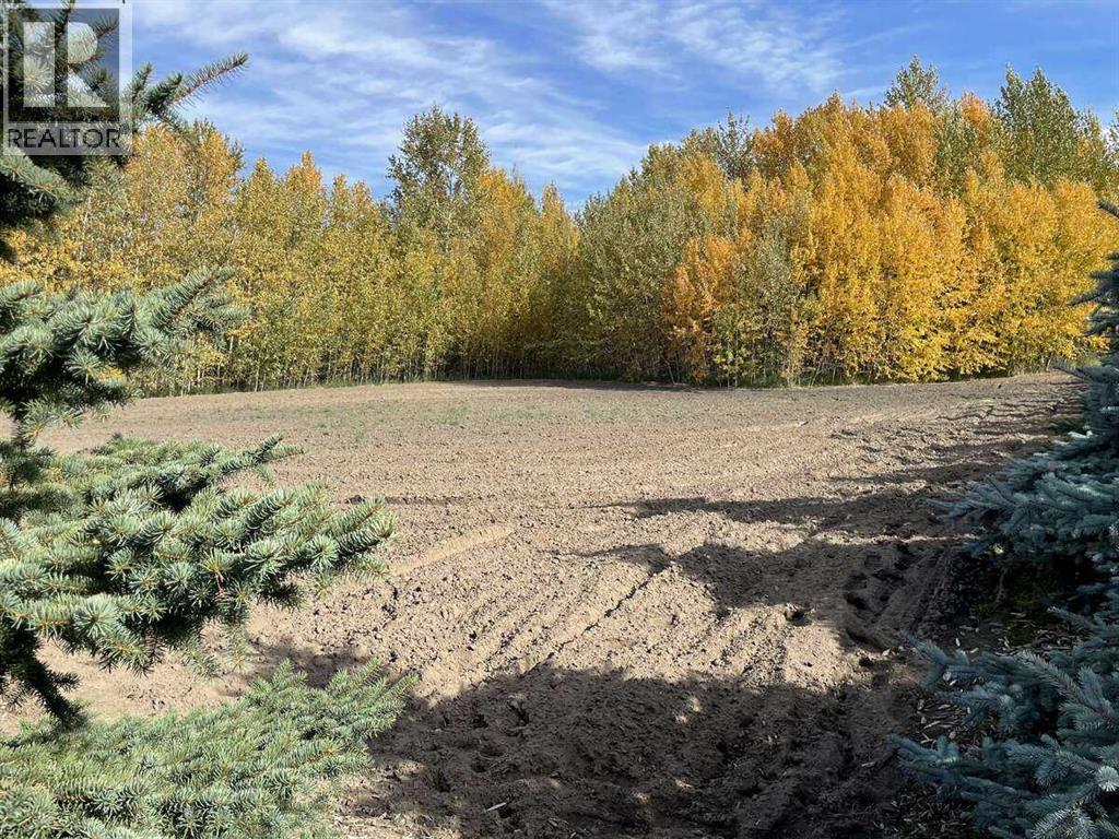 72030 Twp Rd 704a, Rural Grande Prairie No. 1, Alberta  T8W 5G3 - Photo 4 - A2296798