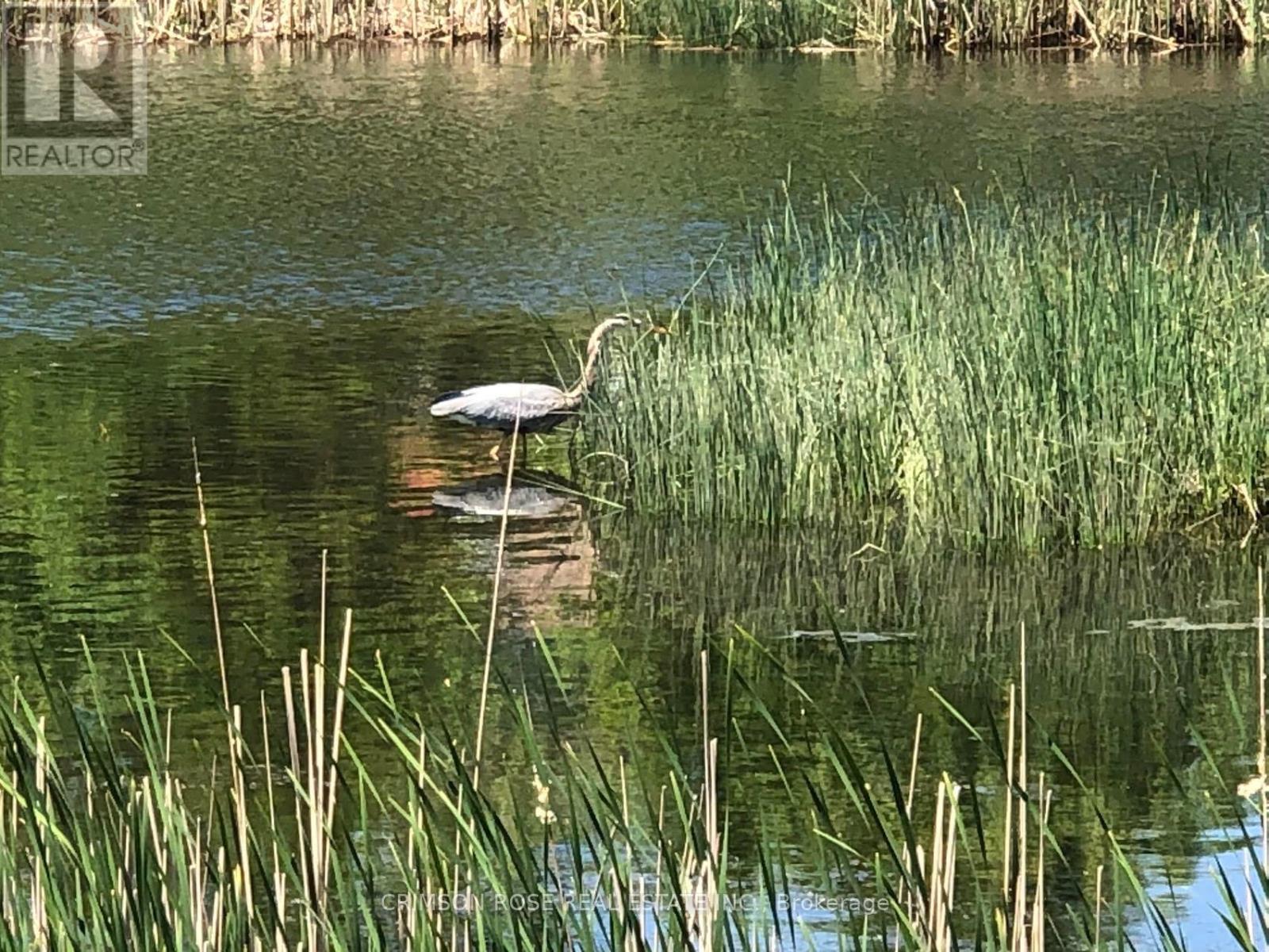 2355 Woodridge Way, Oakville, Ontario  L6H 6S3 - Photo 39 - W12932814