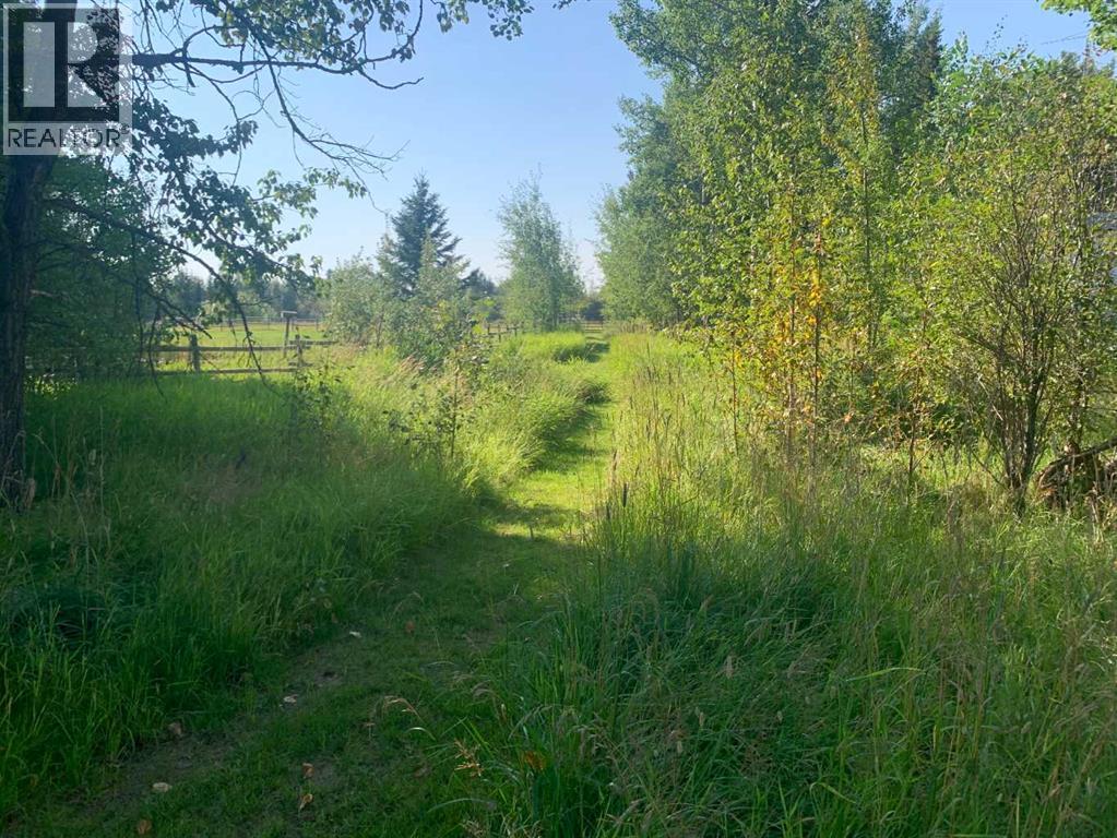 394051 Range Road 8-5a, Rural Clearwater County, Alberta  T4T 2A4 - Photo 11 - A2295146