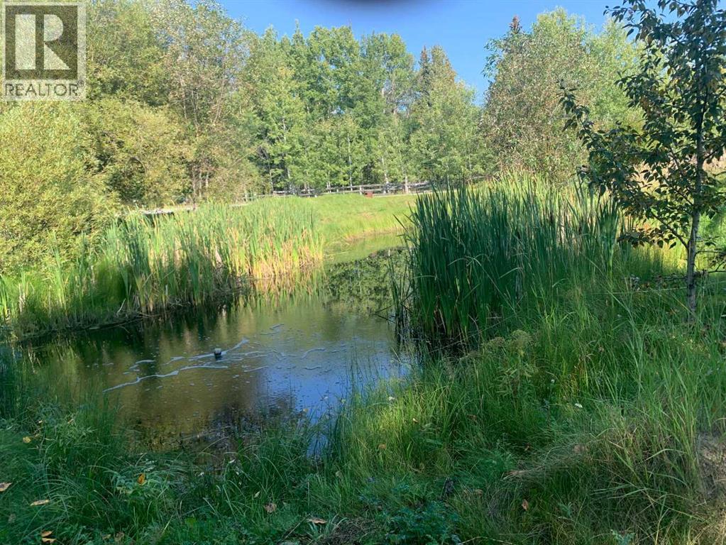 394051 Range Road 8-5a, Rural Clearwater County, Alberta  T4T 2A4 - Photo 42 - A2295146