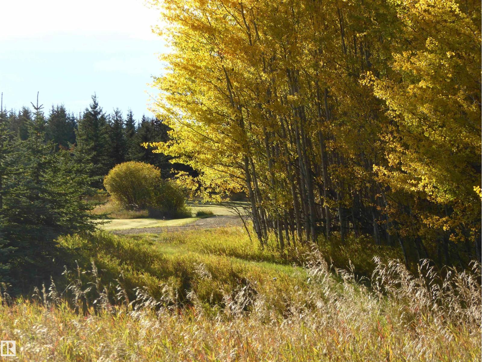 8316 Hwy 16a, Rural Yellowhead, Alberta  T0E 0T0 - Photo 62 - E4479628