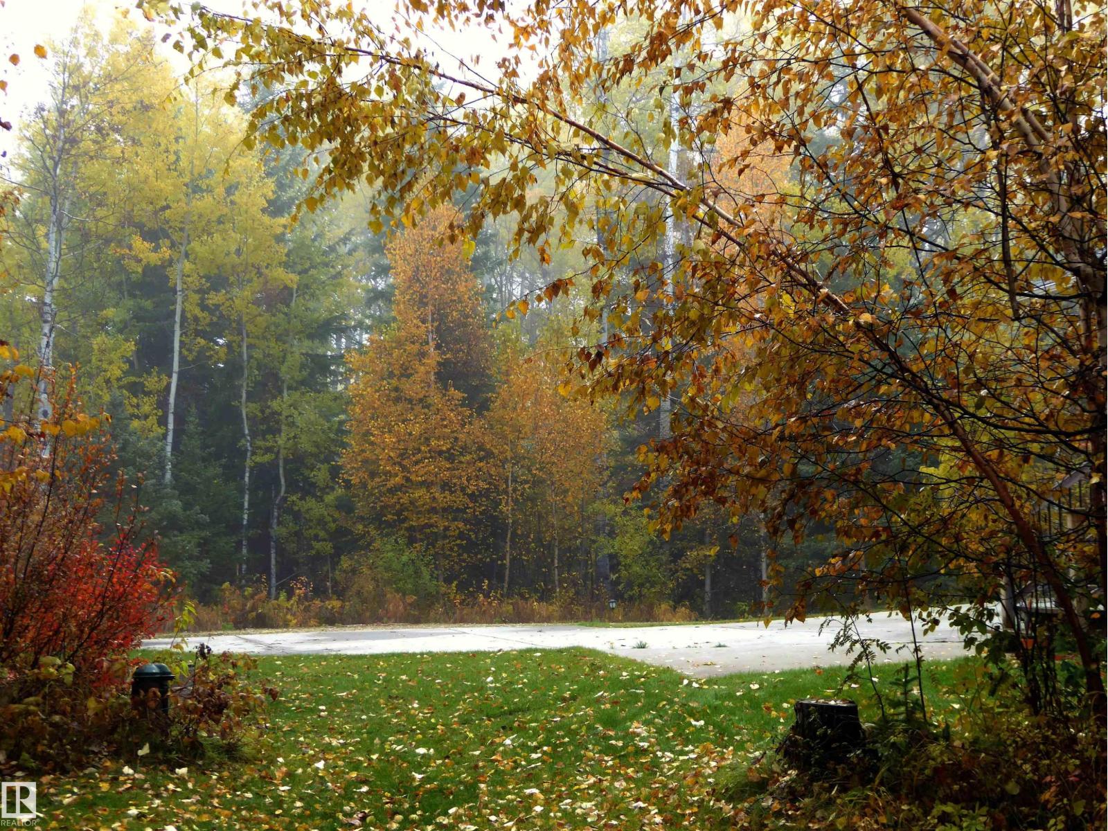 8316 Hwy 16a, Rural Yellowhead, Alberta  T0E 0T0 - Photo 63 - E4479628