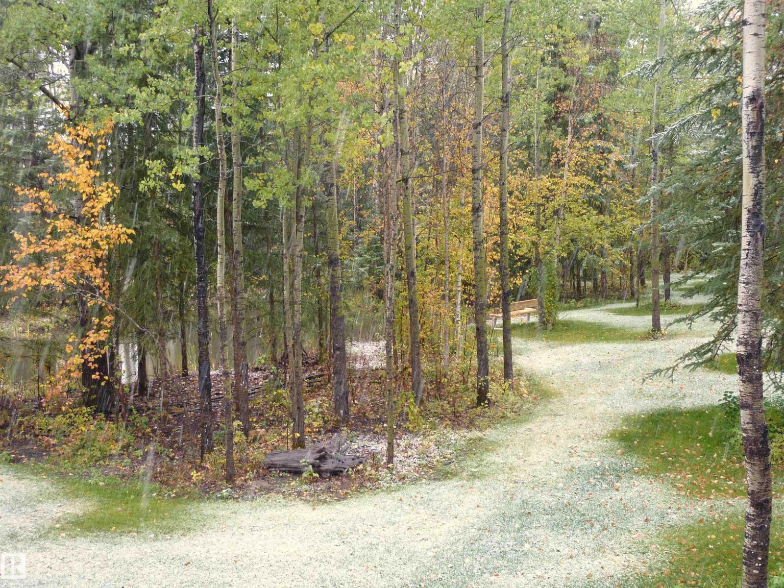 8316 Hwy 16a, Rural Yellowhead, Alberta  T0E 0T0 - Photo 64 - E4479628