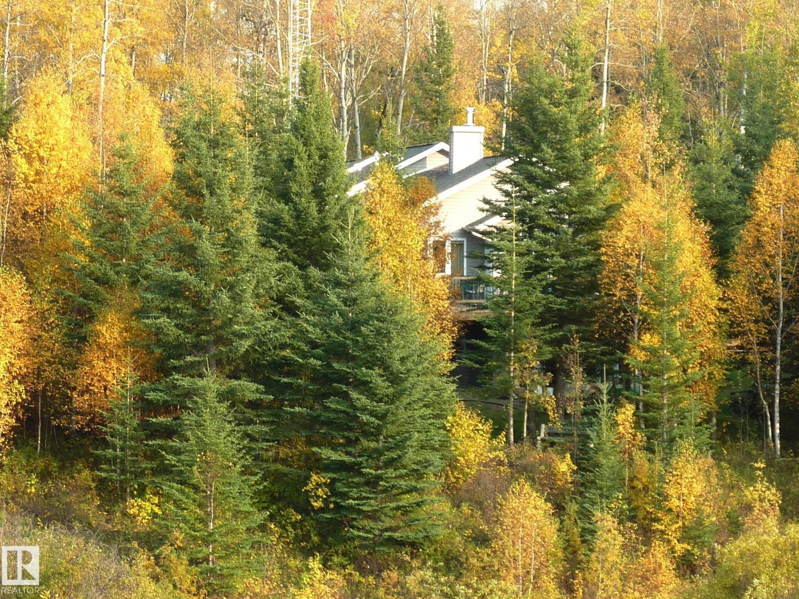 8316 Hwy 16a, Rural Yellowhead, Alberta  T0E 0T0 - Photo 67 - E4479628