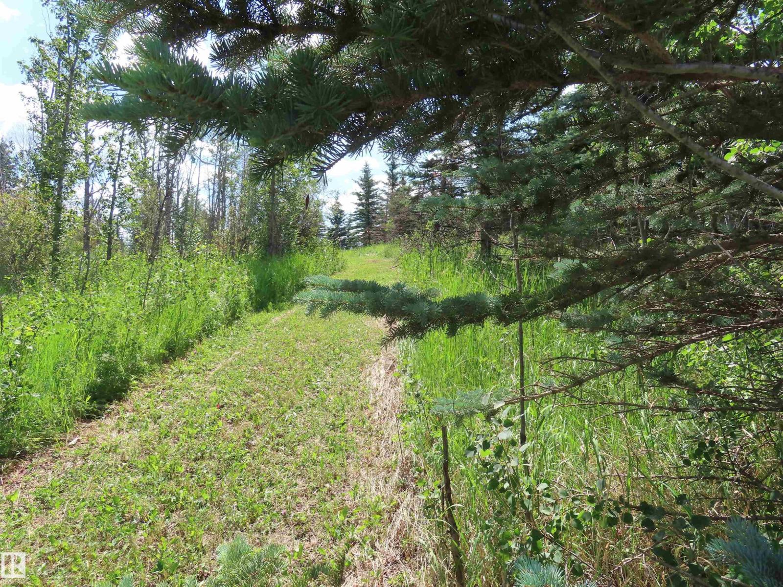 8316 Hwy 16a, Rural Yellowhead, Alberta  T0E 0T0 - Photo 73 - E4479628