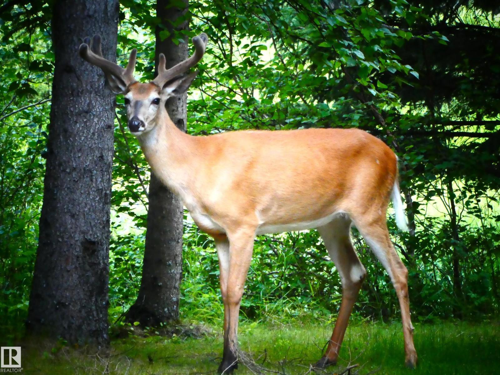 8316 Hwy 16a, Rural Yellowhead, Alberta  T0E 0T0 - Photo 75 - E4479628