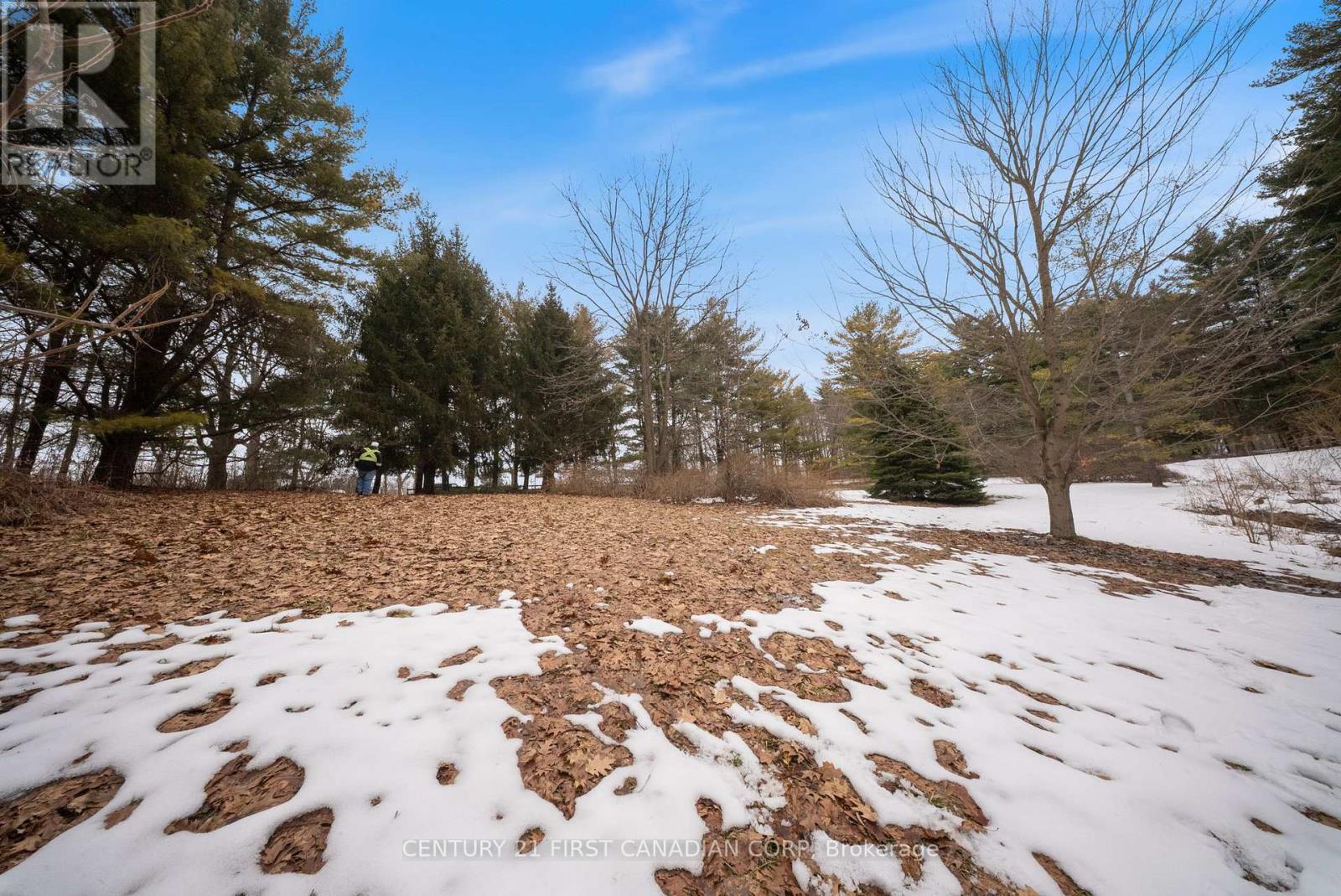 24 Campbell Farm Road, Brant, Ontario  N3T 5L6 - Photo 25 - X12815490