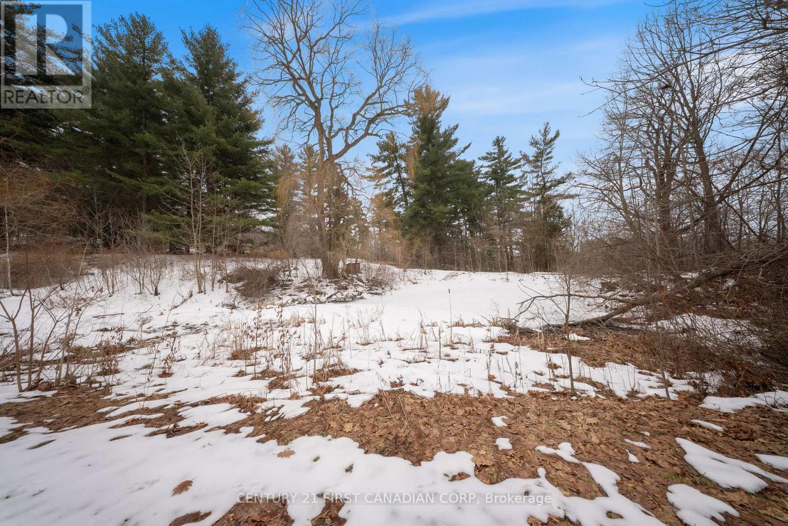 24 Campbell Farm Road, Brant, Ontario  N3T 5L6 - Photo 23 - X12815490