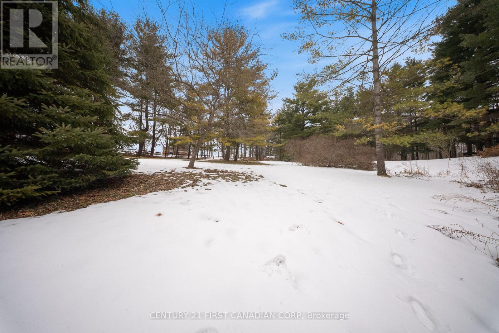 24 Campbell Farm Road, Brant, Ontario  N3T 5L6 - Photo 20 - X12815490