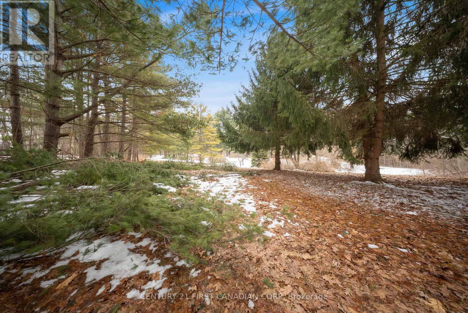 24 Campbell Farm Road, Brant, Ontario  N3T 5L6 - Photo 28 - X12815490