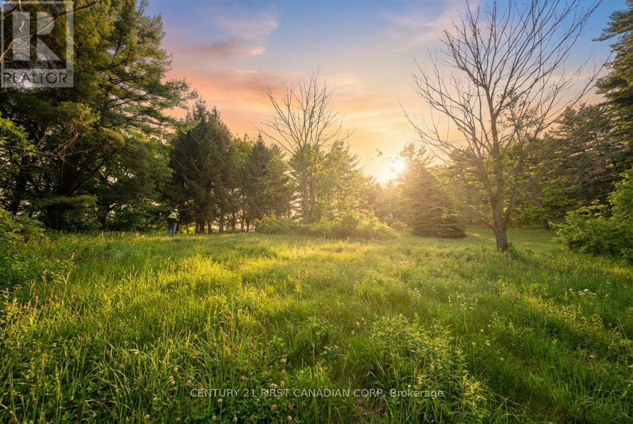 24 Campbell Farm Road, Brant, Ontario  N3T 5L6 - Photo 24 - X12815490