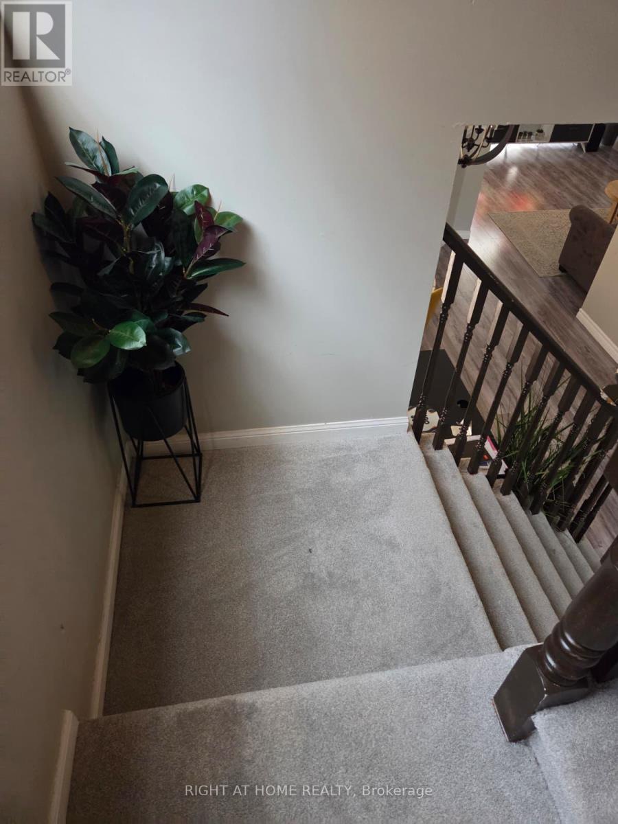 1156 Riddell Crescent, Milton, Ontario  L9T 6Y1 - Photo 13 - W12932902