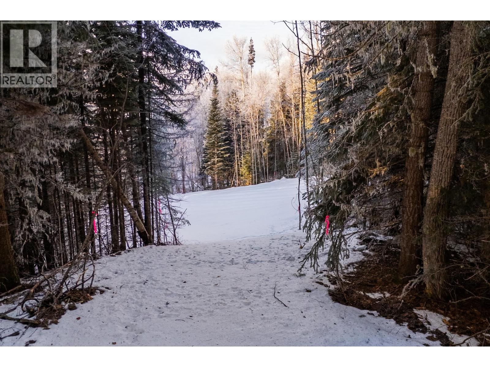 Lot 23-24 Beger Road, Prince George, British Columbia V2M 7C8 - Photo 2 - R3078905