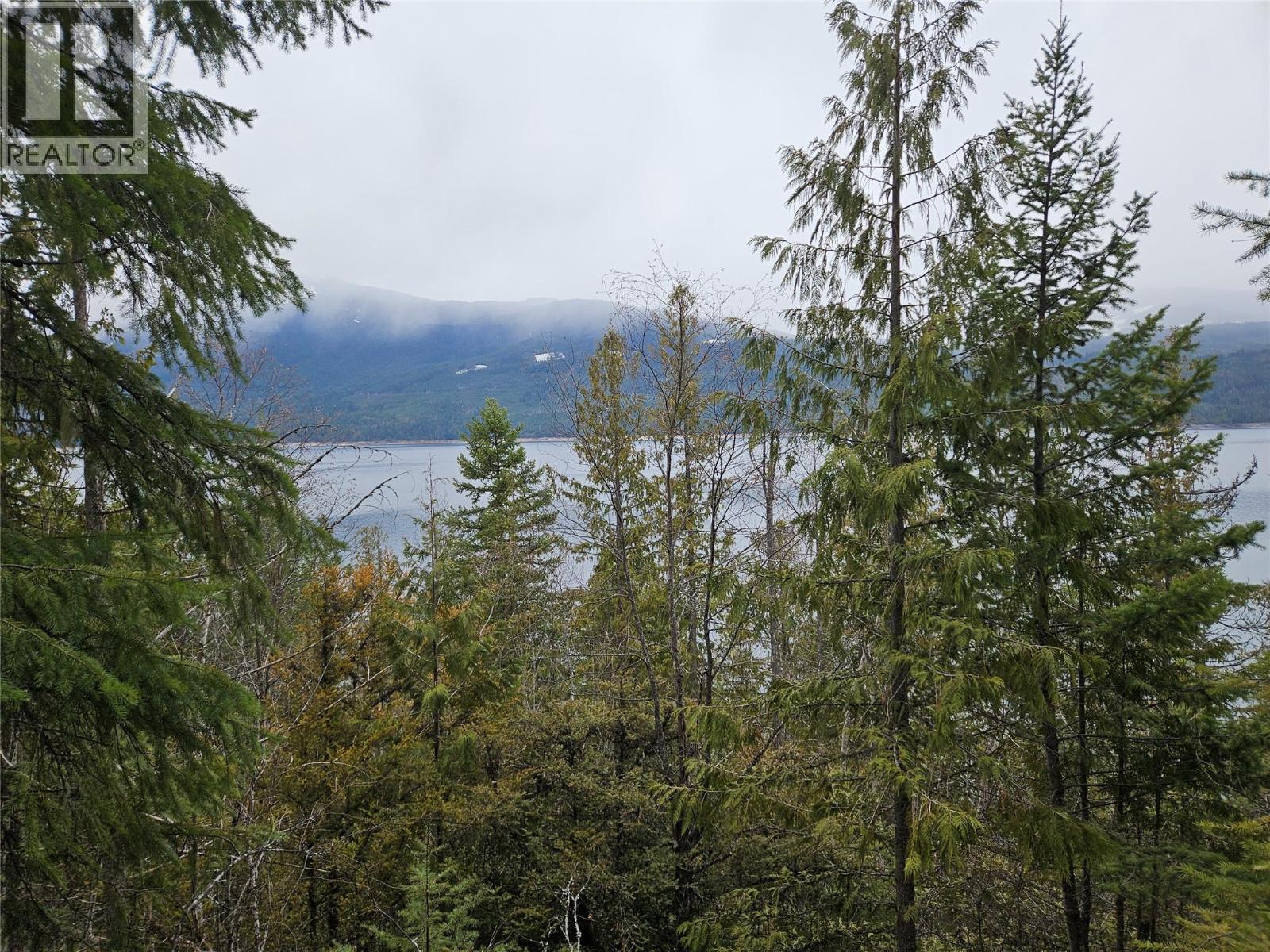 2180 15th Avenue Nw, Nakusp, British Columbia  V0G 1R1 - Photo 1 - 10380949