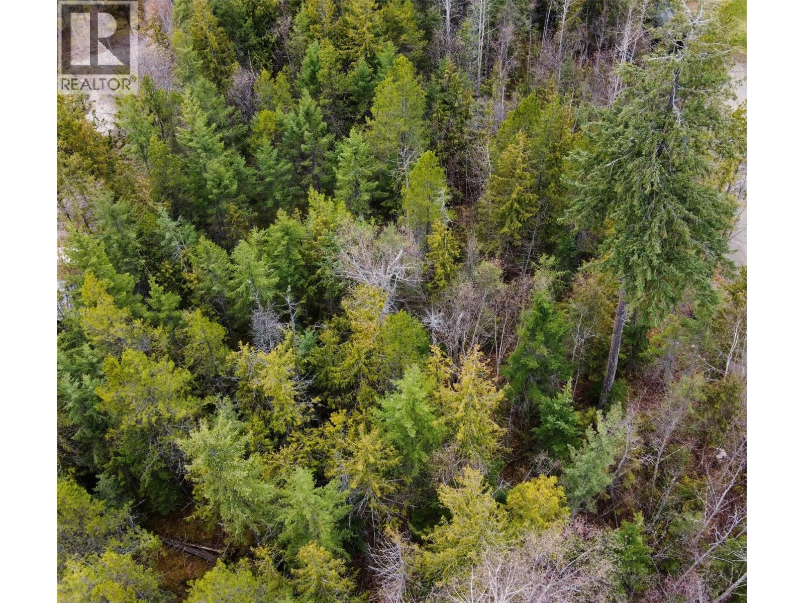 2180 15th Avenue Nw, Nakusp, British Columbia  V0G 1R1 - Photo 5 - 10380949