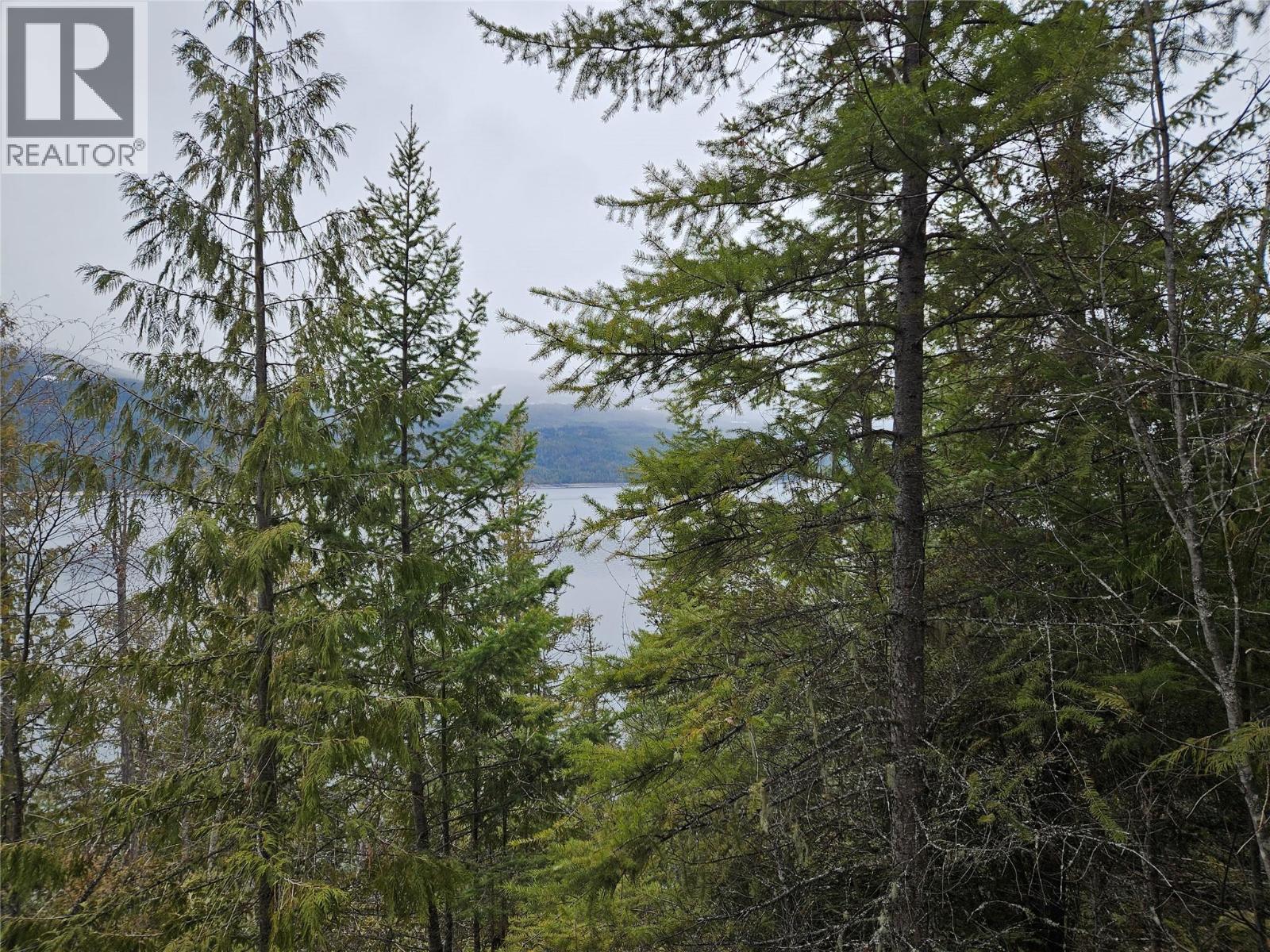 2180 15th Avenue Nw, Nakusp, British Columbia  V0G 1R1 - Photo 2 - 10380949