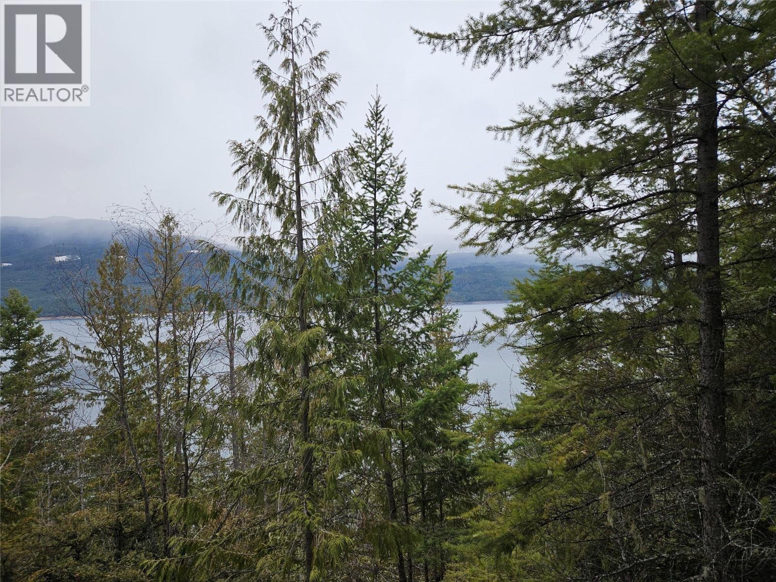 2180 15th Avenue Nw, Nakusp, British Columbia  V0G 1R1 - Photo 3 - 10380949