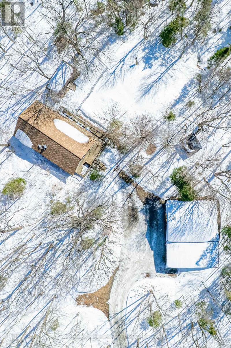 98 Black Road, Seguin, Ontario  P2A 2W8 - Photo 8 - X12933006