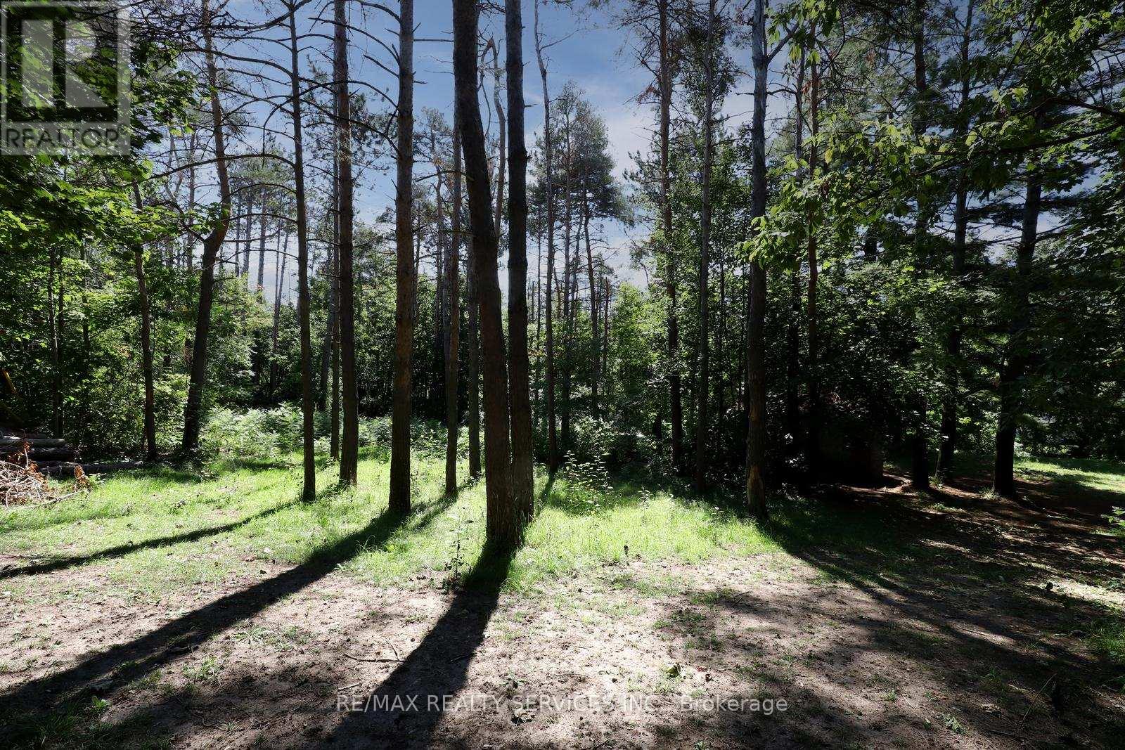 8570 Hwy 12, Oro-Medonte, Ontario  L3V 0K1 - Photo 40 - S12924320