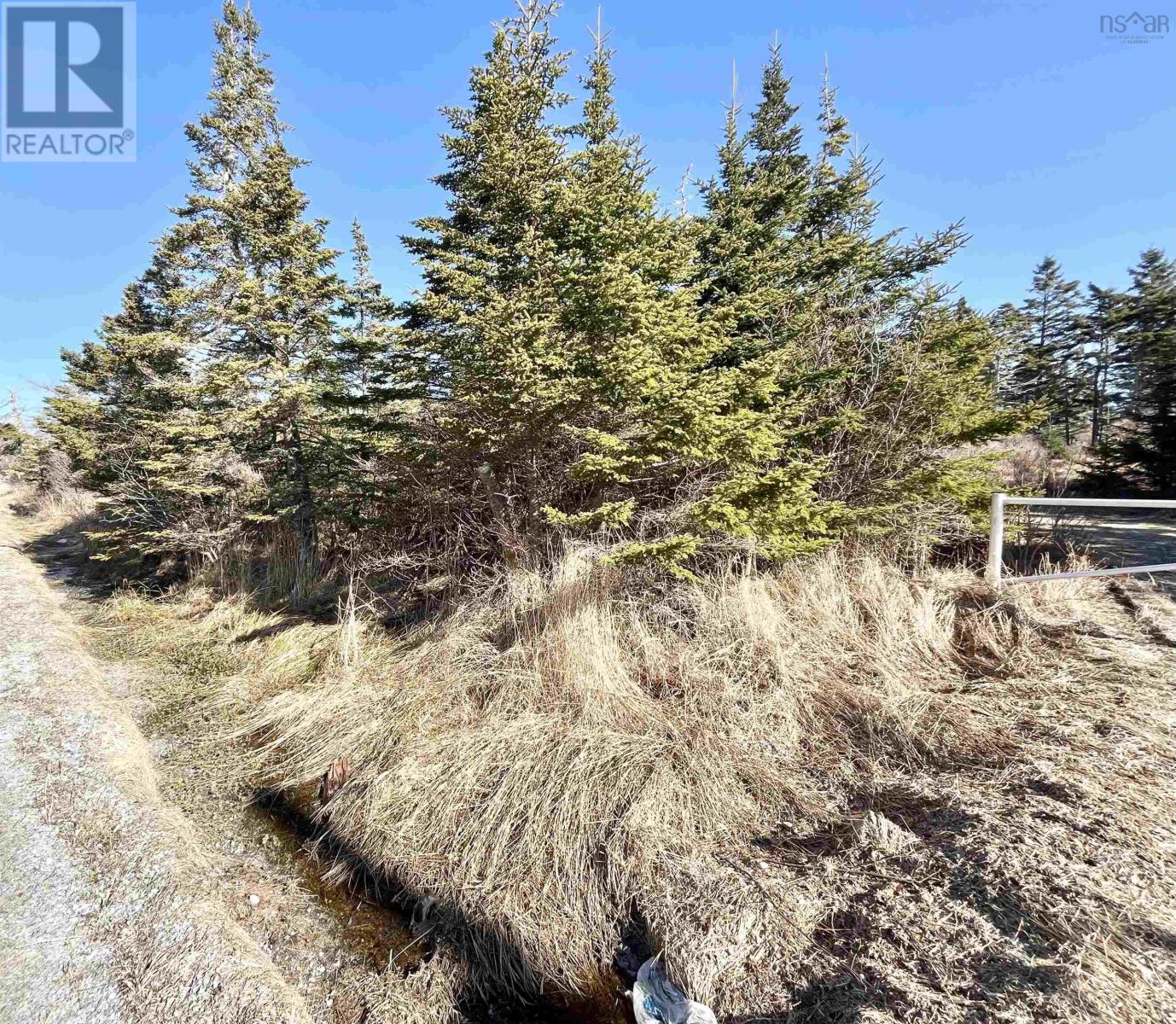 46 Shag Harbour Station Road, Shag Harbour, Nova Scotia  B0W 3B0 - Photo 15 - 202603064