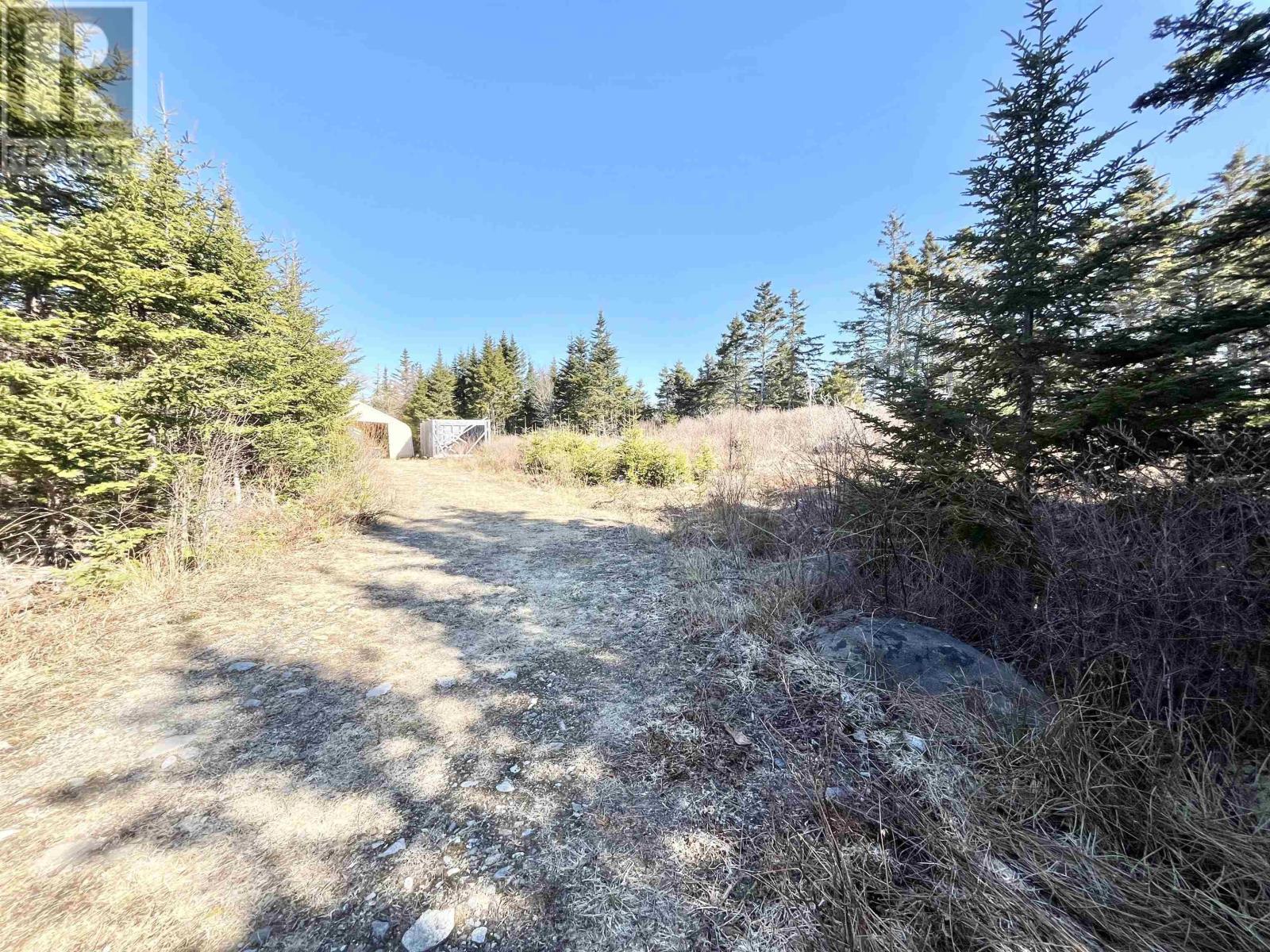 46 Shag Harbour Station Road, Shag Harbour, Nova Scotia  B0W 3B0 - Photo 3 - 202603064