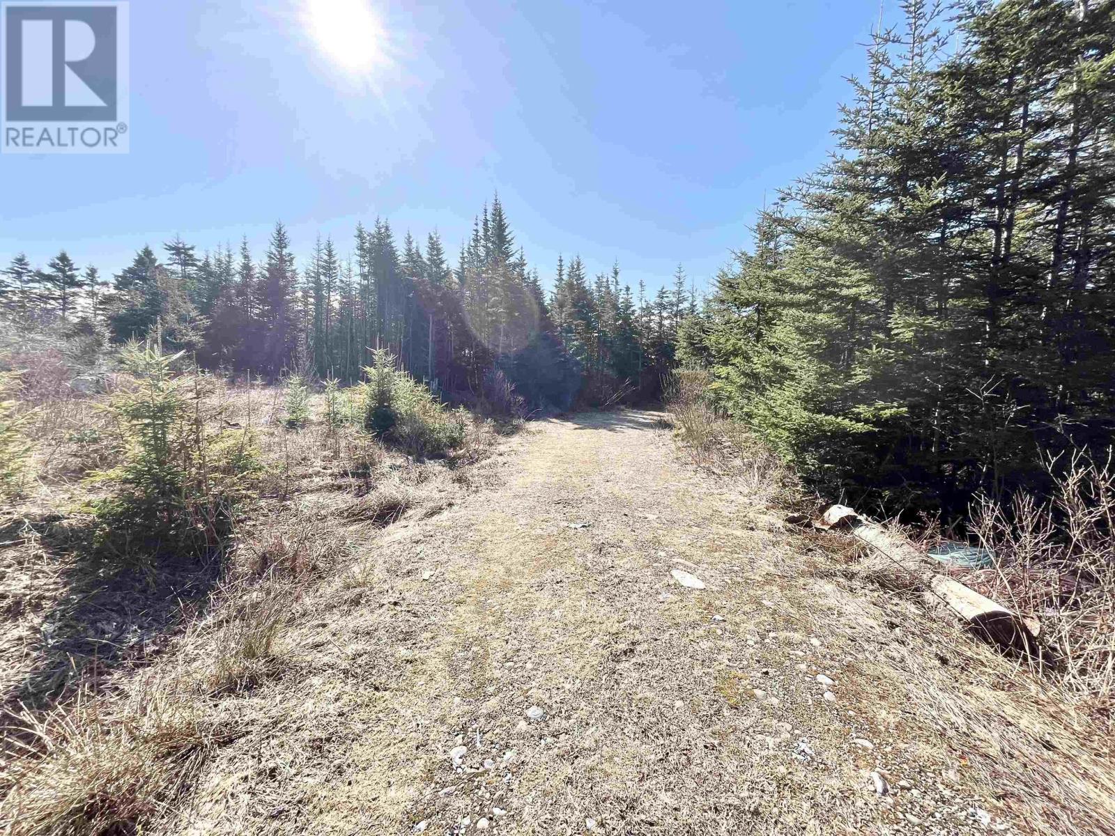 46 Shag Harbour Station Road, Shag Harbour, Nova Scotia  B0W 3B0 - Photo 8 - 202603064