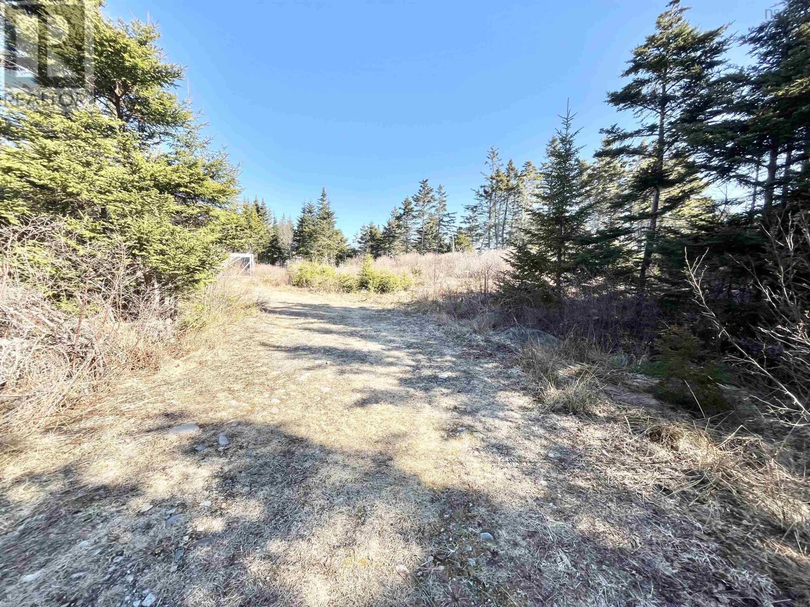 46 Shag Harbour Station Road, Shag Harbour, Nova Scotia  B0W 3B0 - Photo 4 - 202603064