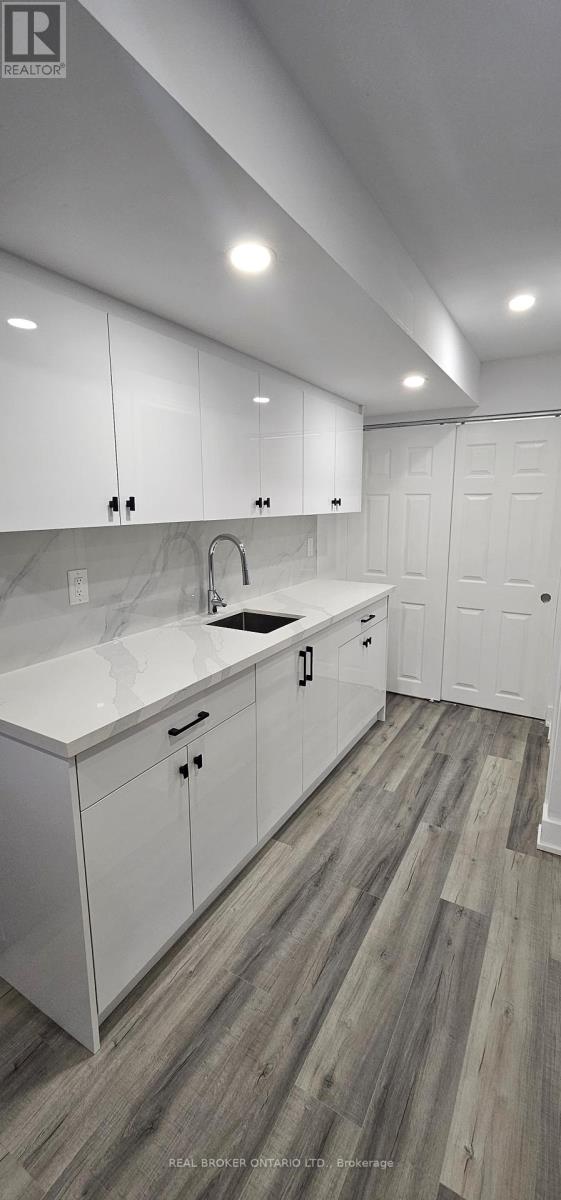 Basement B - 1296 Ellenton Crescent, Milton, Ontario  L9T 6V3 - Photo 5 - W12933134