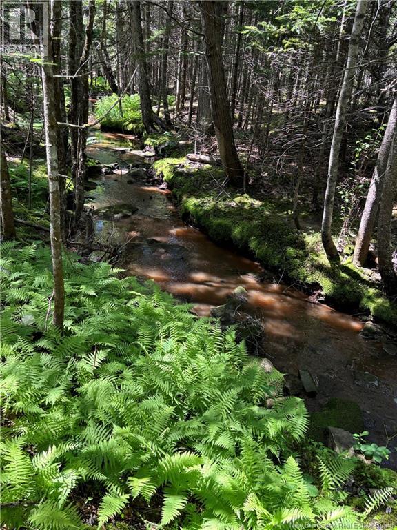 150 Elsliger Street, Dieppe, New Brunswick  E1K 0A5 - Photo 13 - NB135581