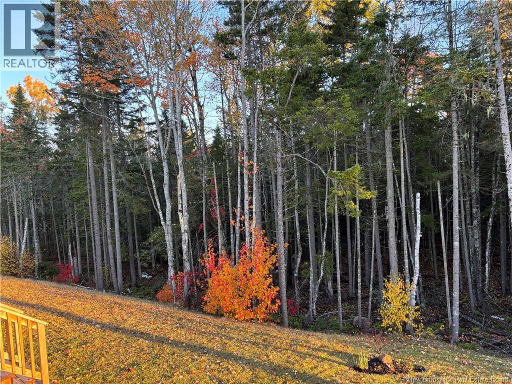 150 Elsliger Street, Dieppe, New Brunswick  E1K 0A5 - Photo 11 - NB135581