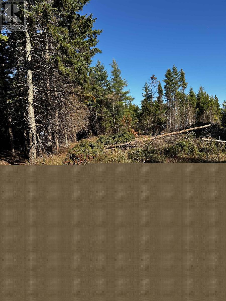 Lot 1 Dune Road, St. Felix, Prince Edward Island  C0B 2B0 - Photo 8 - 202525361