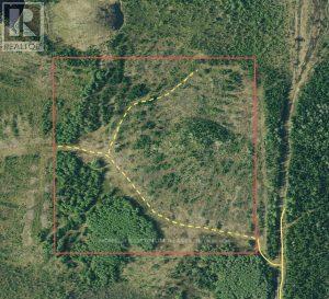 Ne Part Of S Lot 1 Con 6 N/a, Timmins, Ontario  P4N 2C7 - Photo 5 - T12933262