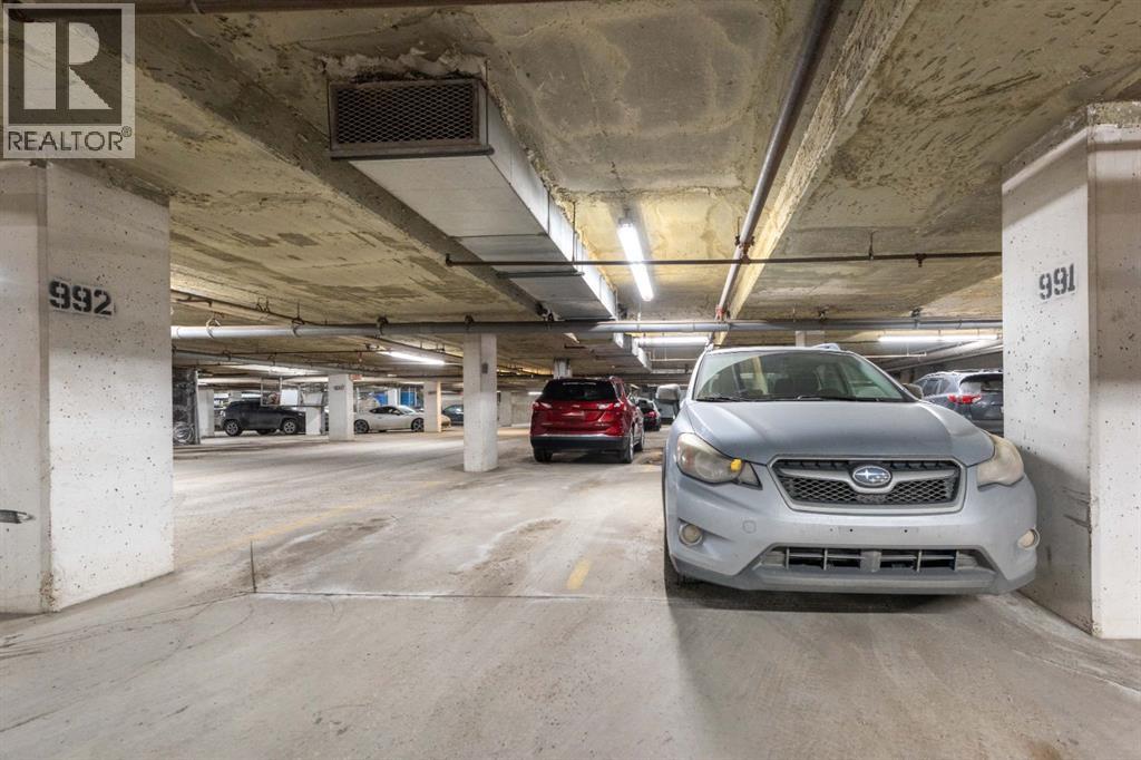 341, 20 Discovery Ridge Close SW, Calgary, Alberta  T3H 5X4 - Photo 33 - A2290041