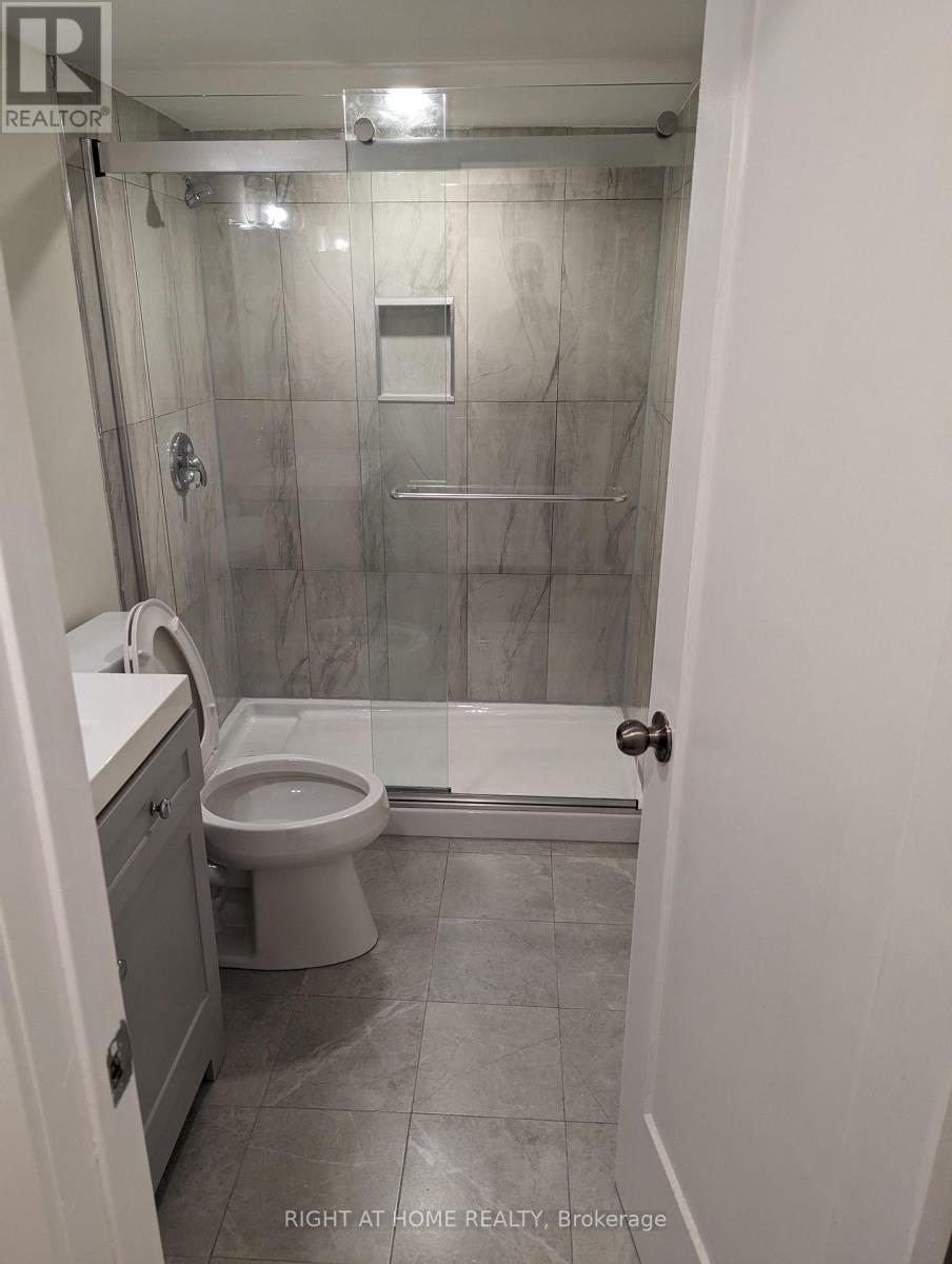 Basement - 100 Westgate Avenue, Ajax, Ontario  L1Z 1R8 - Photo 13 - E12933298