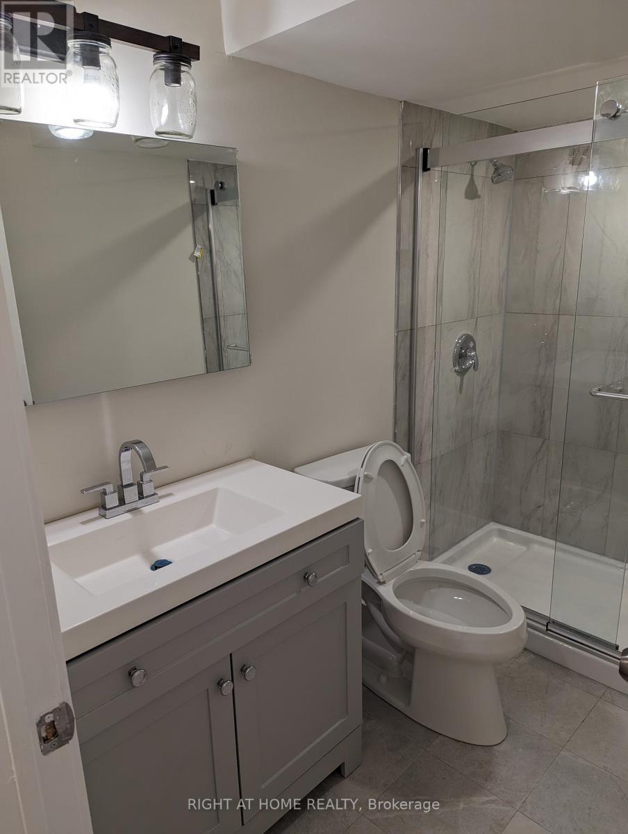 Basement - 100 Westgate Avenue, Ajax, Ontario  L1Z 1R8 - Photo 15 - E12933298