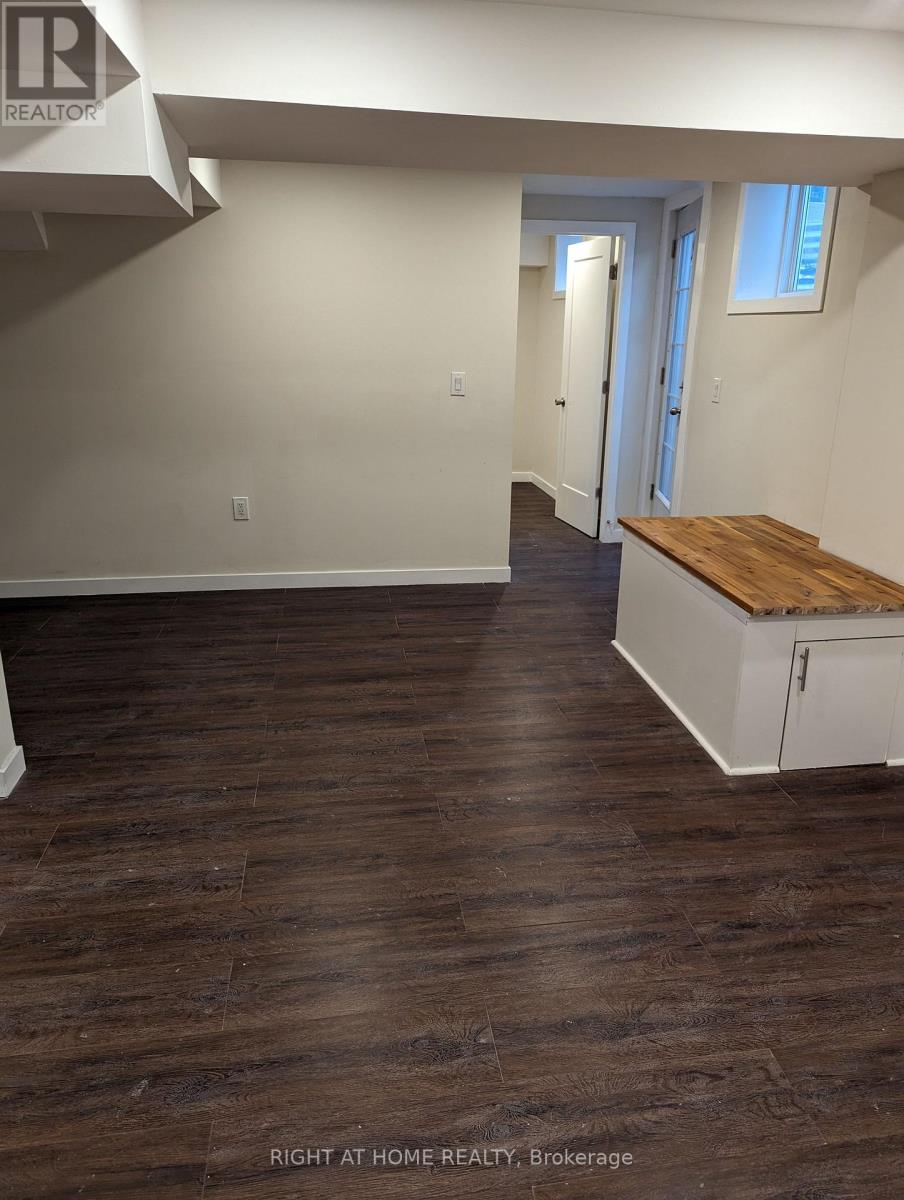 Basement - 100 Westgate Avenue, Ajax, Ontario  L1Z 1R8 - Photo 21 - E12933298