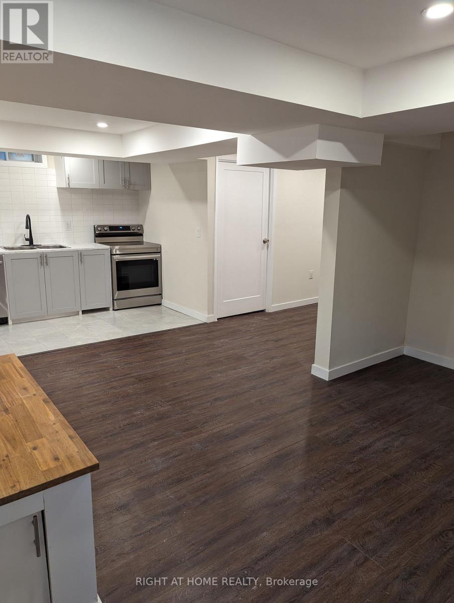 Basement - 100 Westgate Avenue, Ajax, Ontario  L1Z 1R8 - Photo 4 - E12933298