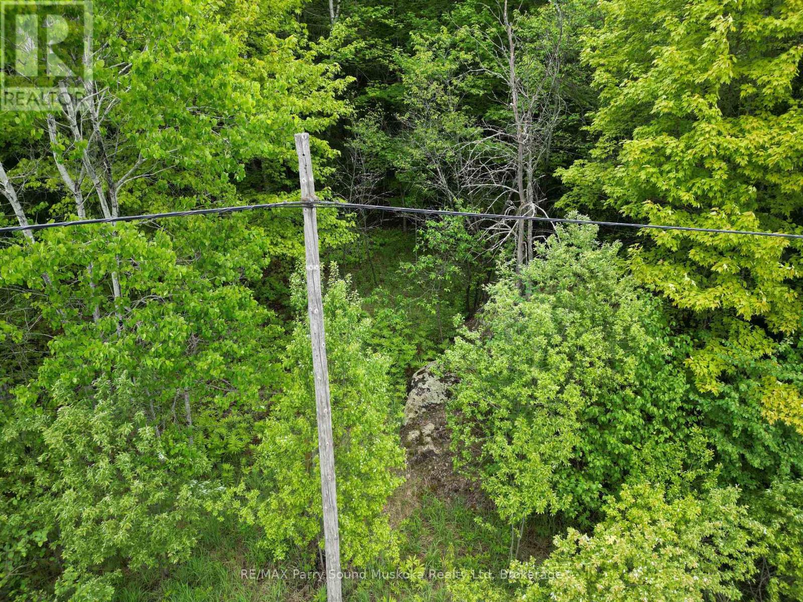 1-22342 East Road, Parry Sound Remote Area, Ontario  P0H 1S0 - Photo 1 - X12933350