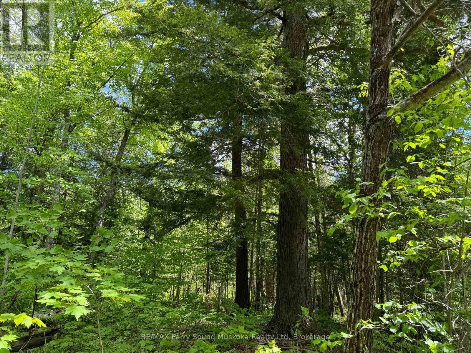 1-22342 East Road, Parry Sound Remote Area, Ontario  P0H 1S0 - Photo 10 - X12933350