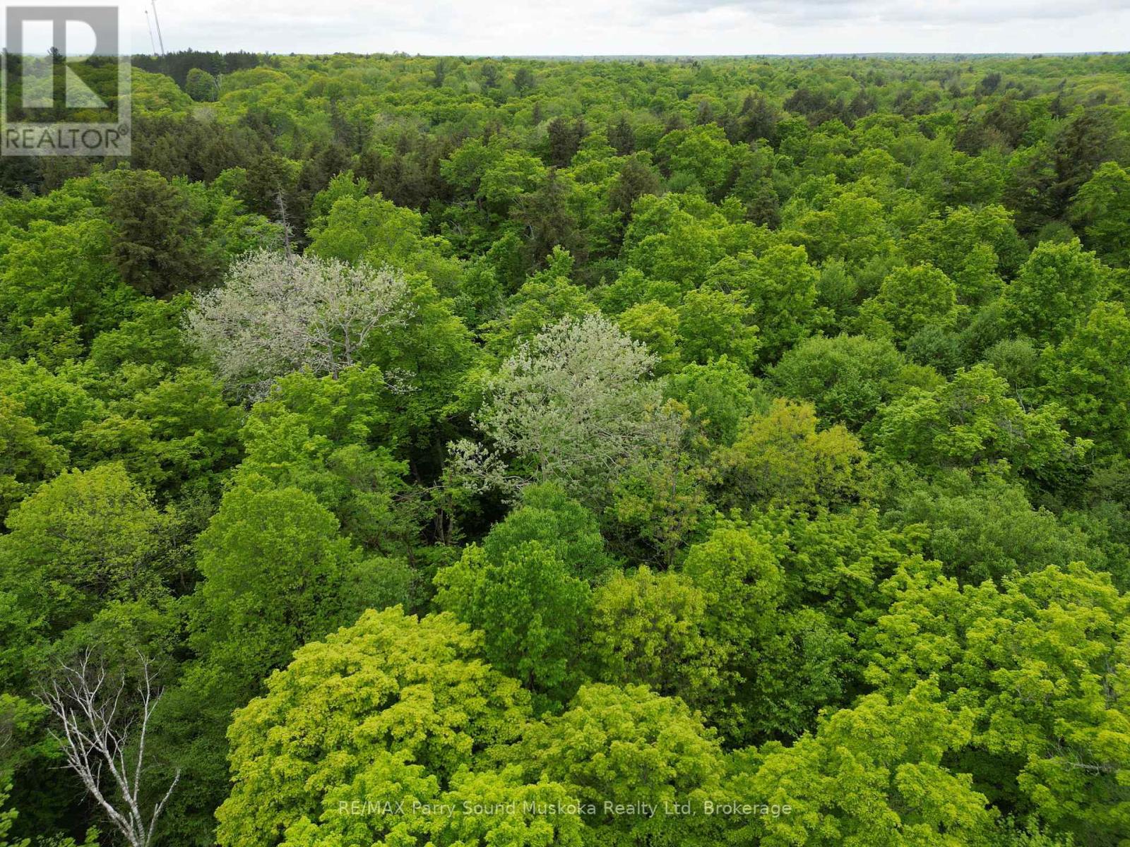 1-22342 East Road, Parry Sound Remote Area, Ontario  P0H 1S0 - Photo 5 - X12933350
