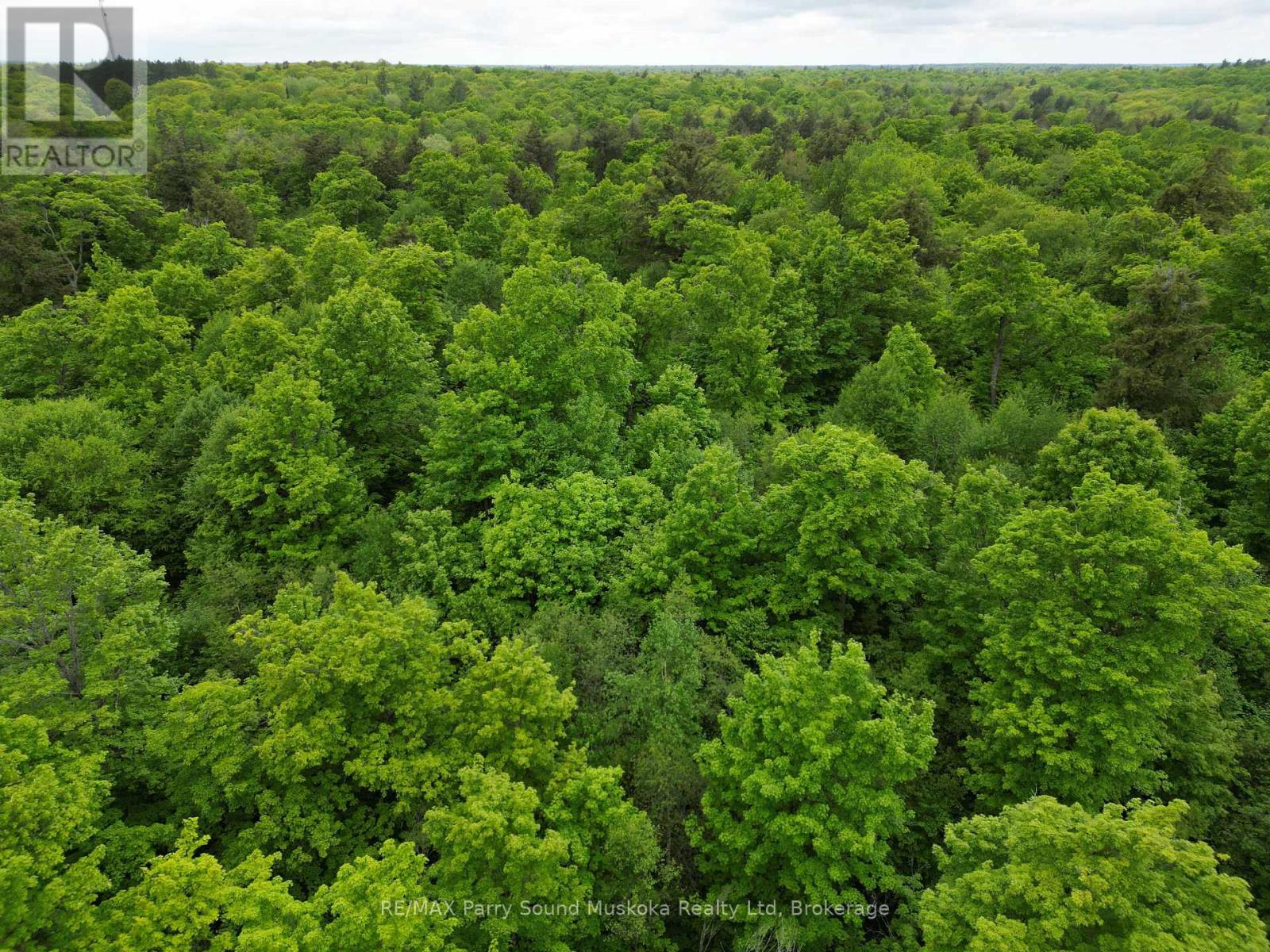 1-22342 East Road, Parry Sound Remote Area, Ontario  P0H 1S0 - Photo 6 - X12933350