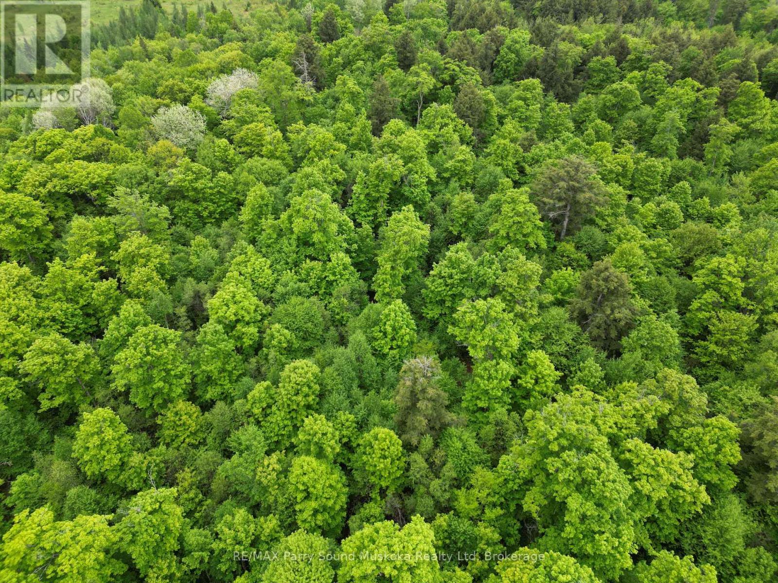 1-22342 East Road, Parry Sound Remote Area, Ontario  P0H 1S0 - Photo 8 - X12933350