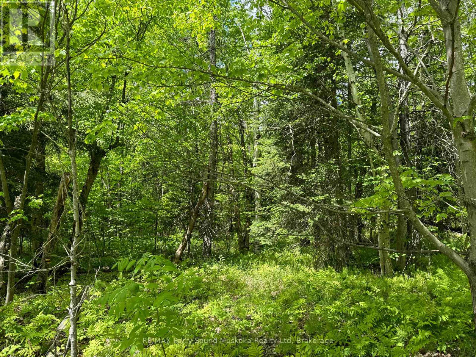 1-22342 East Road, Parry Sound Remote Area, Ontario  P0H 1S0 - Photo 9 - X12933350