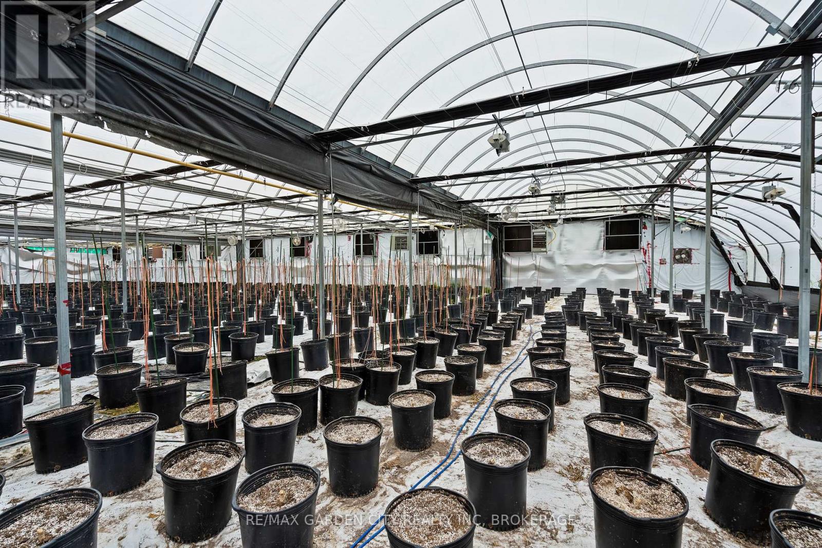 Greenhouse - 53825 Zion Road, Wainfleet, Ontario  L0S 1V0 - Photo 10 - X12933380