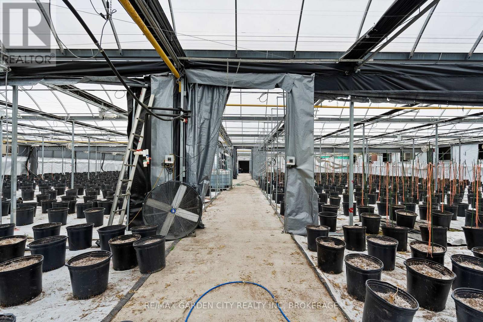 Greenhouse - 53825 Zion Road, Wainfleet, Ontario  L0S 1V0 - Photo 11 - X12933380