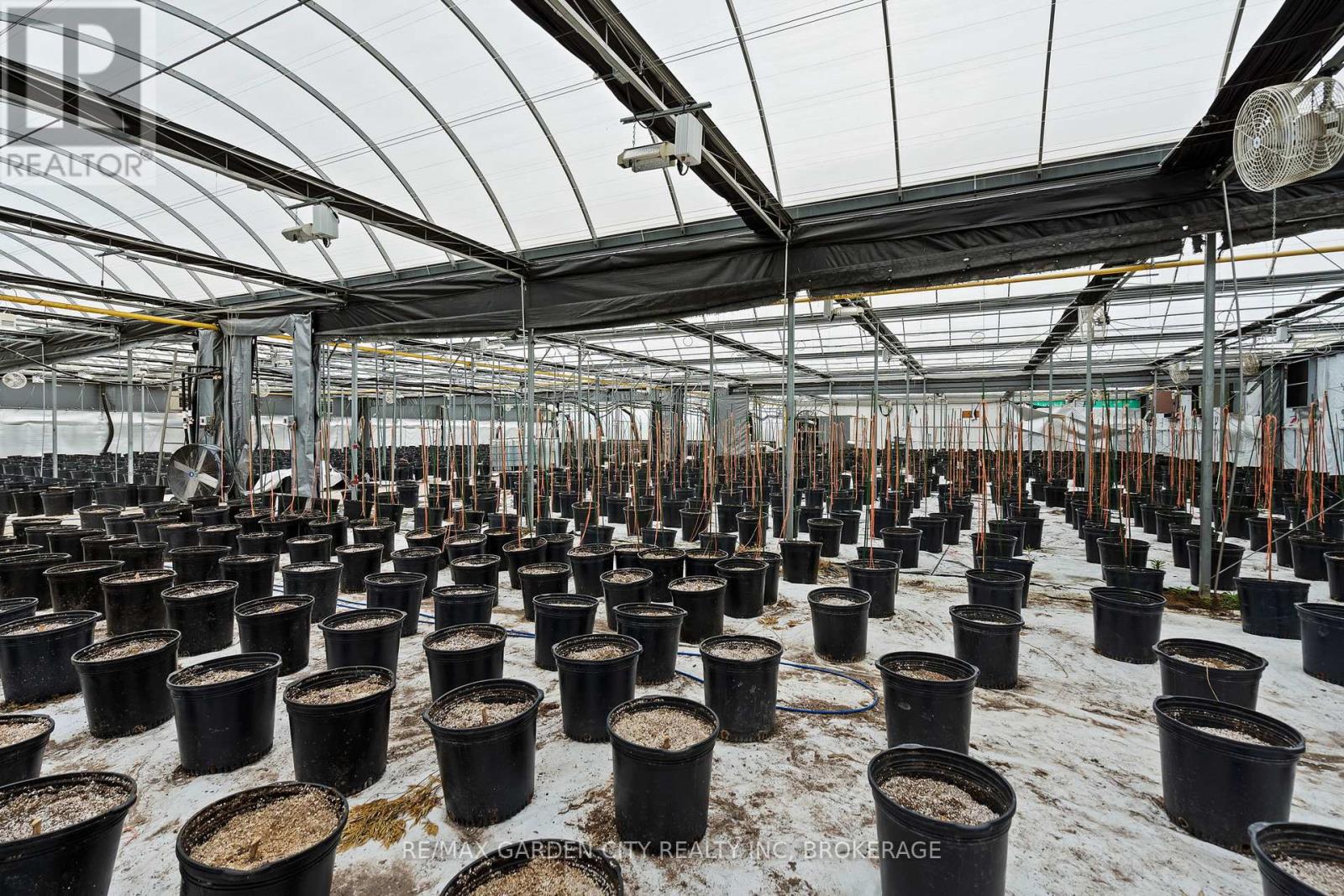 Greenhouse - 53825 Zion Road, Wainfleet, Ontario  L0S 1V0 - Photo 12 - X12933380