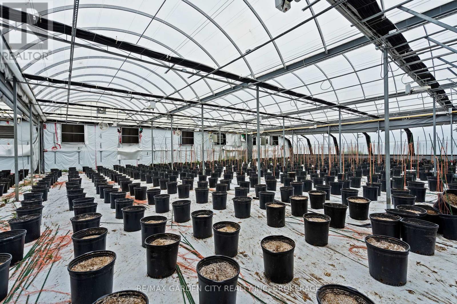 Greenhouse - 53825 Zion Road, Wainfleet, Ontario  L0S 1V0 - Photo 13 - X12933380