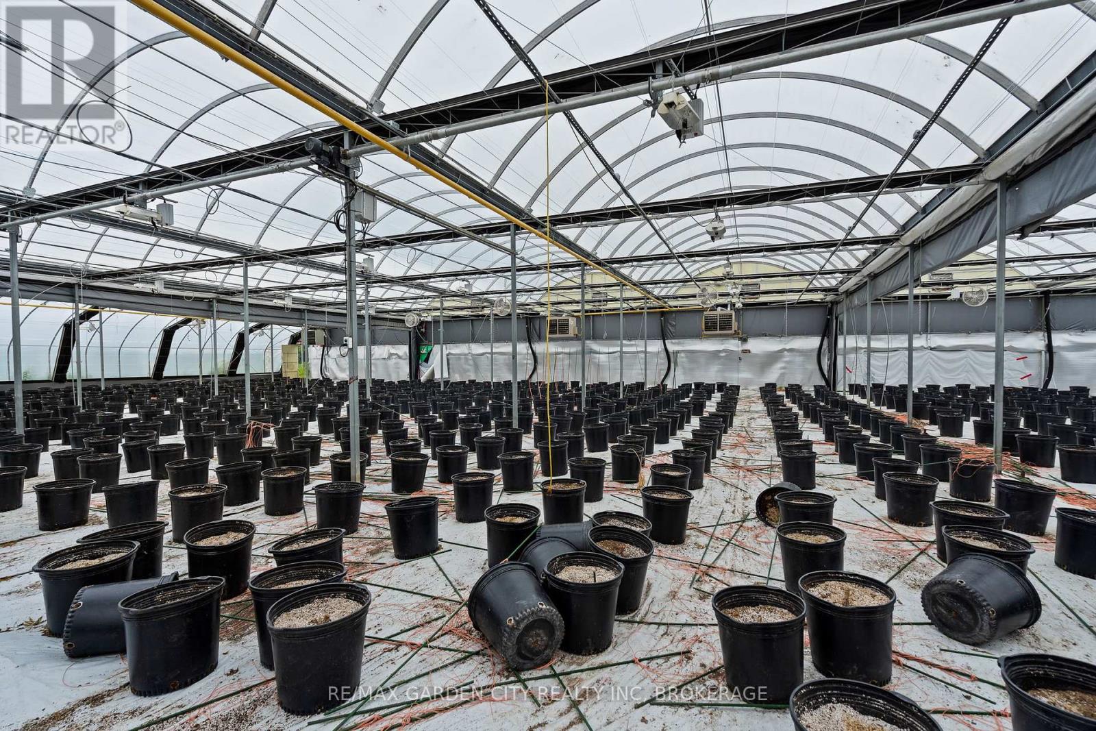 Greenhouse - 53825 Zion Road, Wainfleet, Ontario  L0S 1V0 - Photo 14 - X12933380